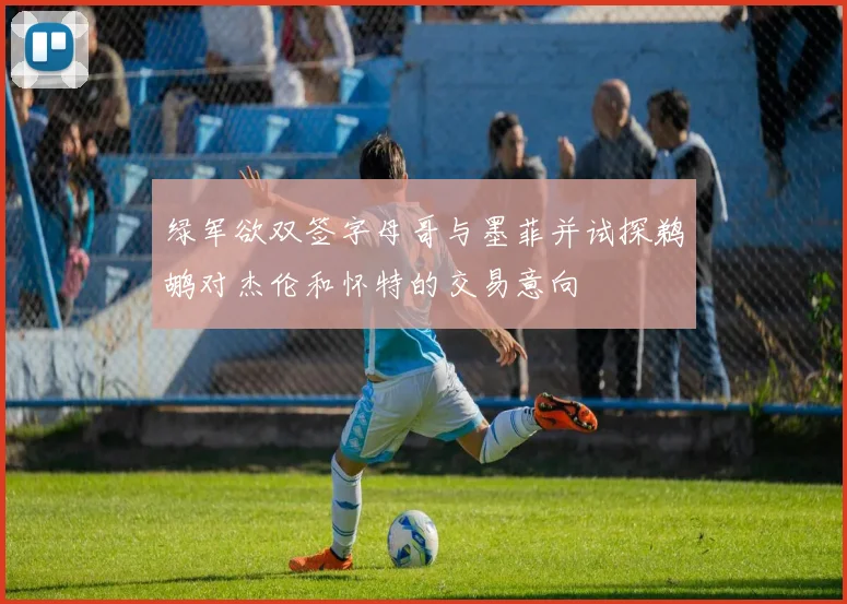 绿军欲双签字母哥与墨菲并试探鹈鹕对杰伦和怀特的交易意向