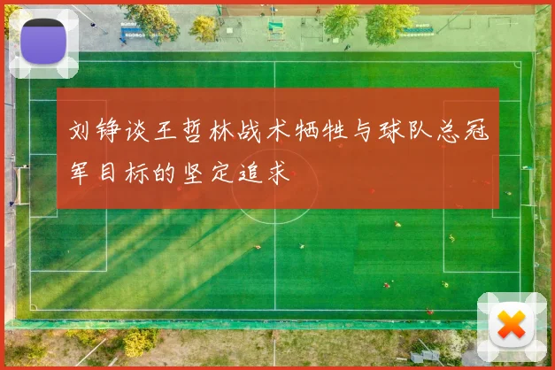 刘铮谈王哲林战术牺牲与球队总冠军目标的坚定追求